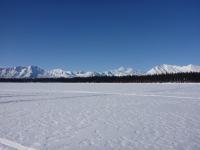 Looking at some of the Alaska range from Byers Lake. Denali is front and center.