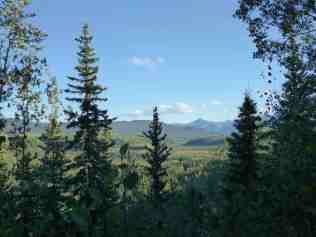 The Yukon's sea of forest